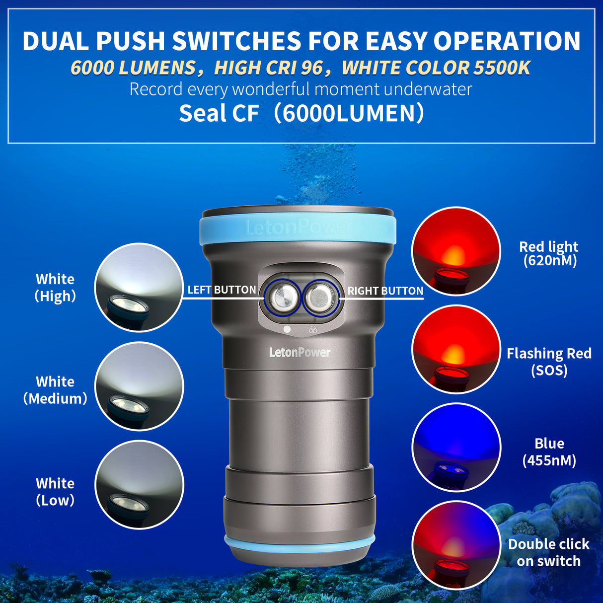 Seal CF 6000 Lumen Dive Light for Underwater Photography, 100m Underwater Video Light 96 CRI with 120 Degree Wide Beam Angle Scuba Flashlight for Professional Dive Photography Fill Light